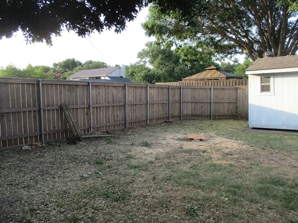 Cleared yard after professional tree removal in Swans Island